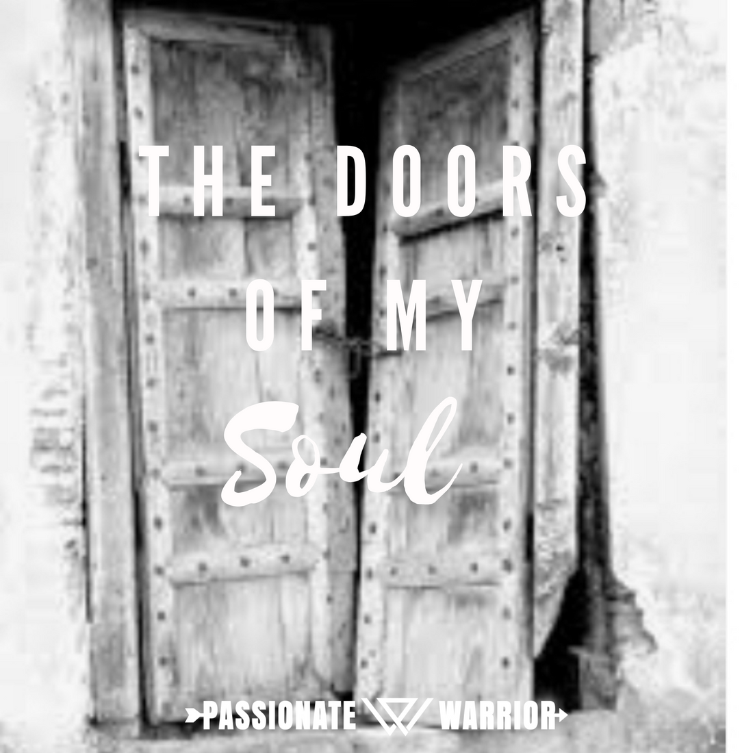 The-Doors-of-My-Soul The Passionate Warriors