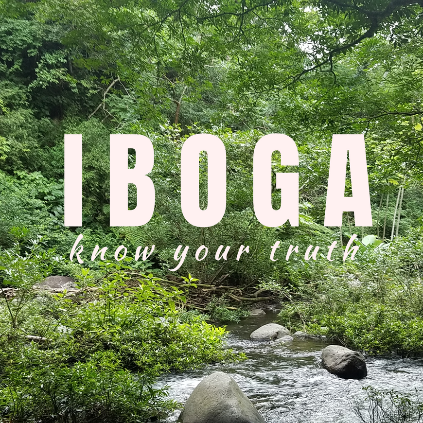 Bassé: my Iboga Journey