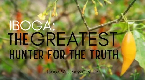 Iboga-Know-Your-Truth The Passionate Warriors