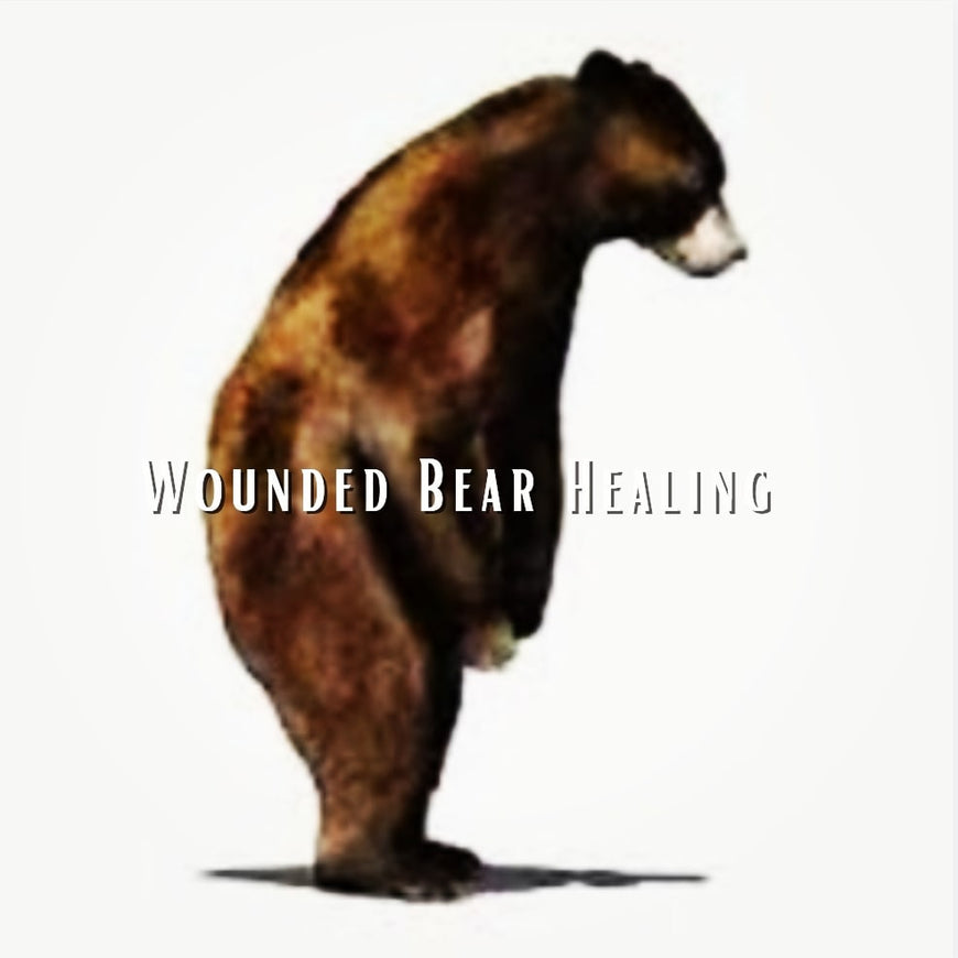 Wounded Bear Healing