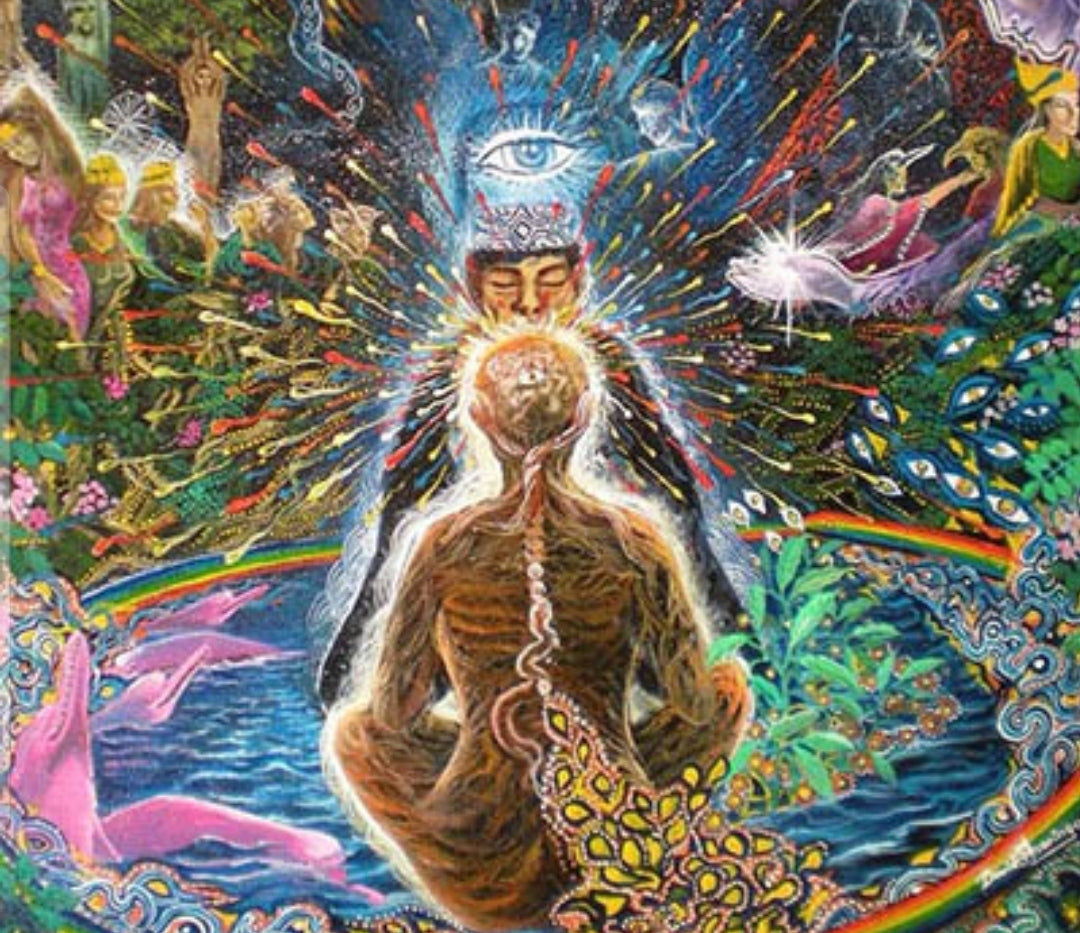 Ayahuasca 