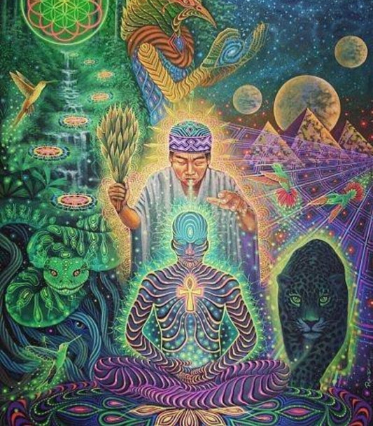 Ayahuasca-the-Divine-Surgeon The Passionate Warriors