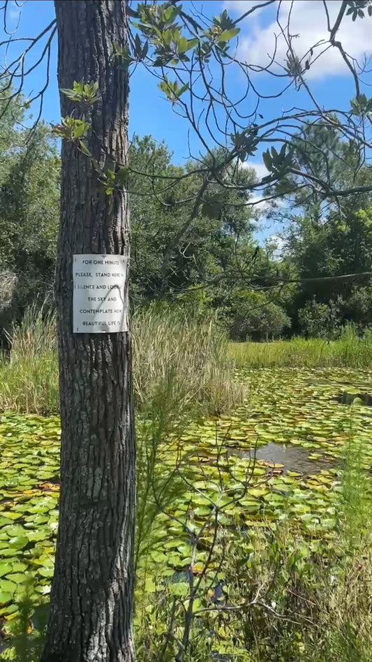 The Message, Still Standing