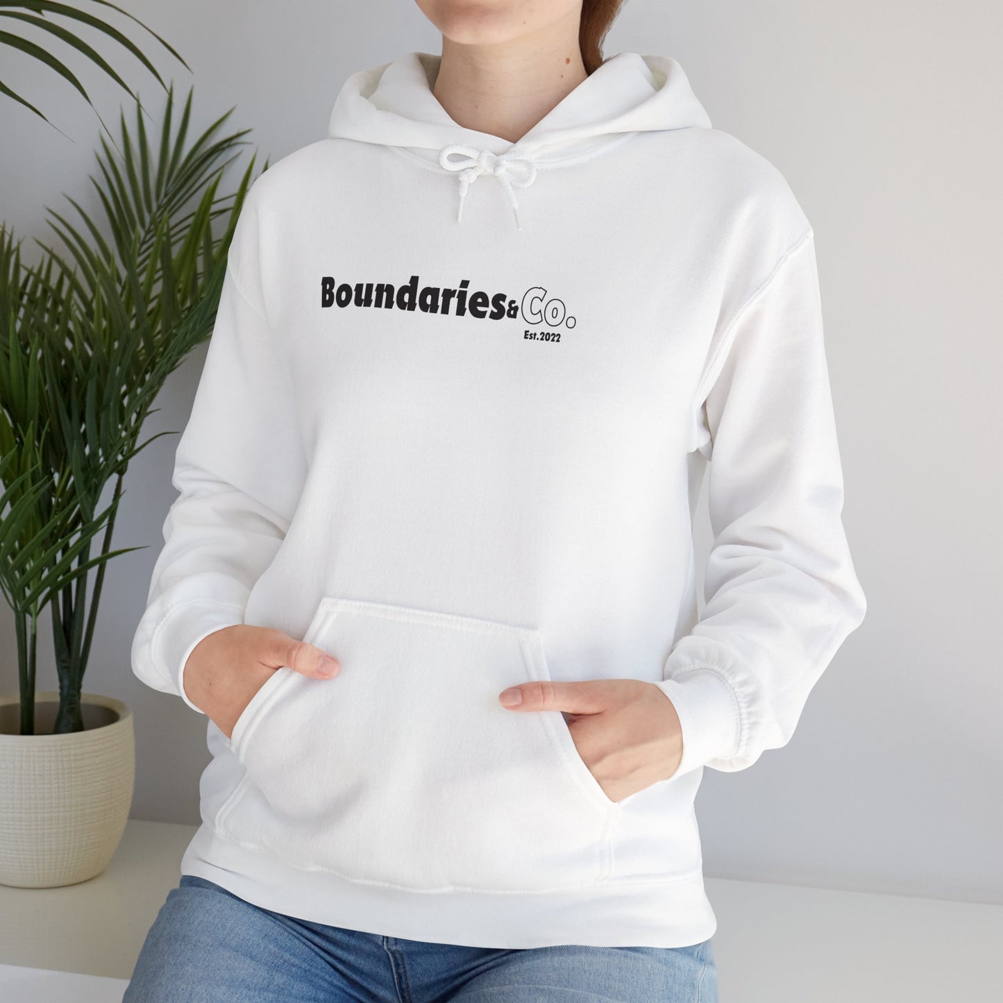 Boundaries and Co: Established in 2022 Hoodie Printify