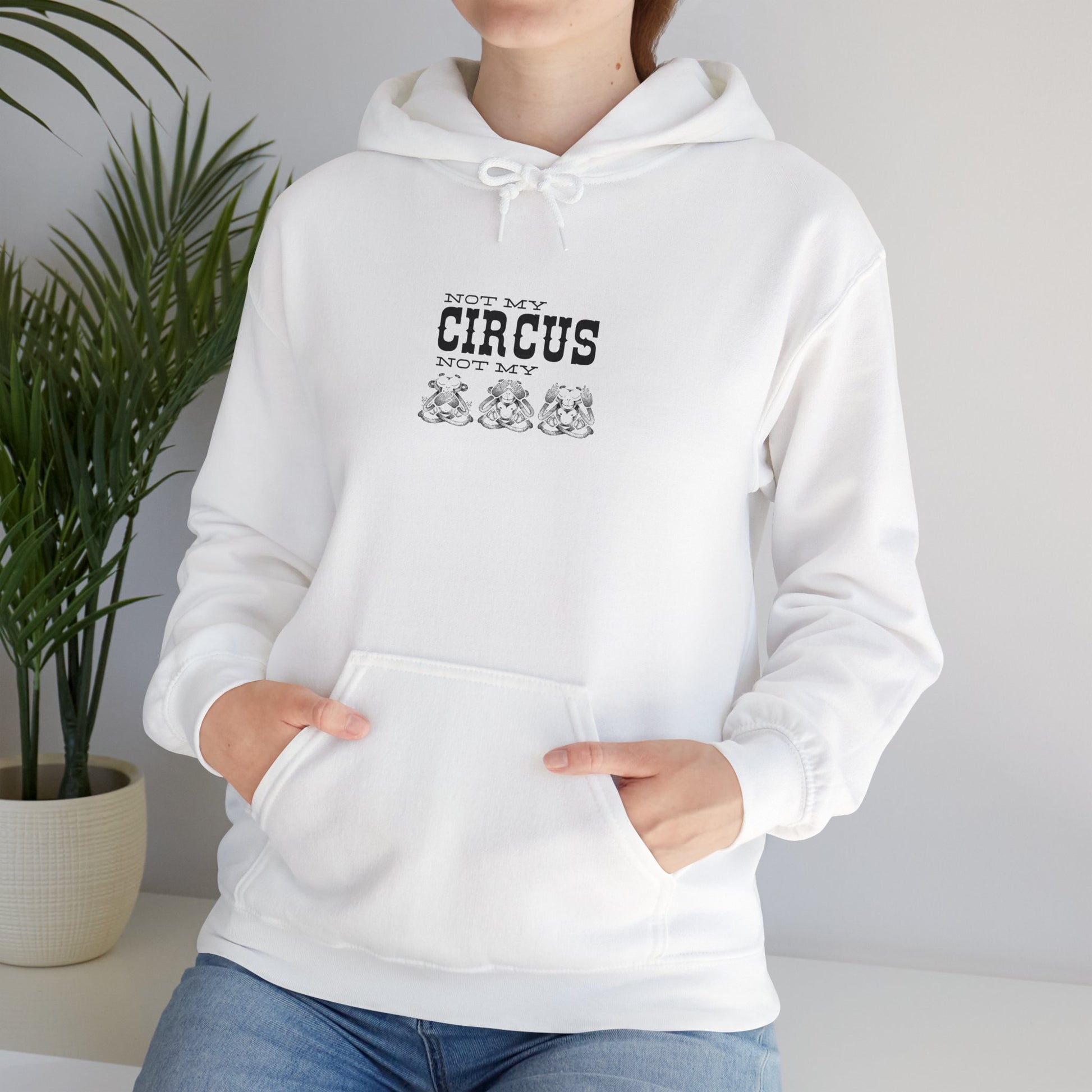 Not My Circus, Not My Monkeys Hoodie Printify