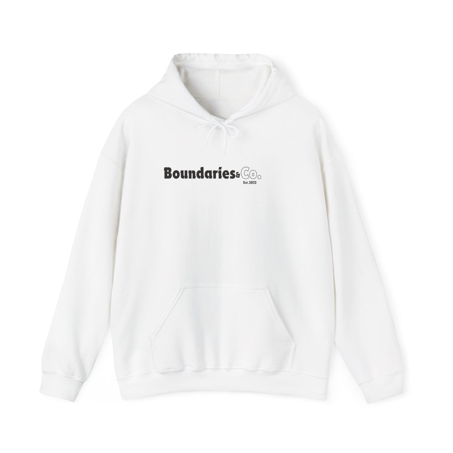 Boundaries and Co: Established in 2022 Hoodie Printify